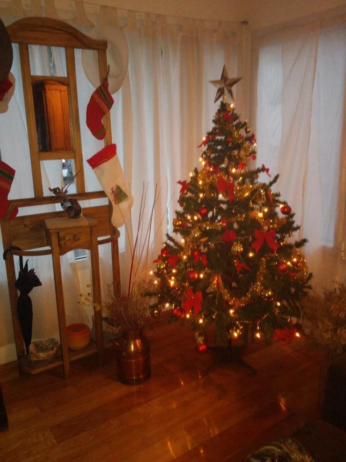 La Casa De Silvia Bed & Breakfast Puerto Madryn Luaran gambar